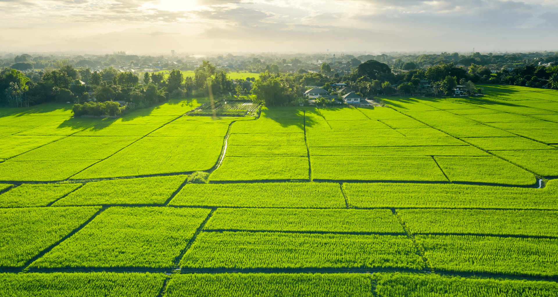 Usługi geodezyjne Bochnia